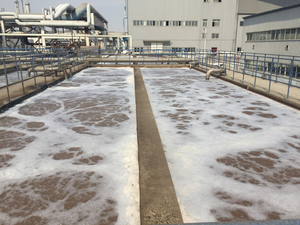 除磷劑是什么藥劑？水里的總磷來(lái)自哪里？